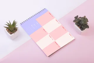 داخلی صورتی